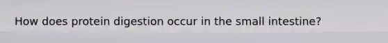 How does protein digestion occur in the small intestine?