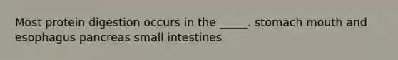 Most protein digestion occurs in the _____. stomach mouth and esophagus pancreas small intestines