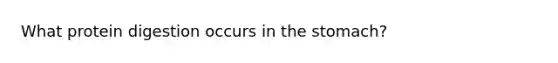 What protein digestion occurs in the stomach?