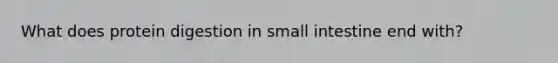 What does protein digestion in small intestine end with?