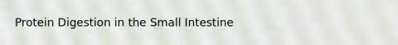 Protein Digestion in the Small Intestine