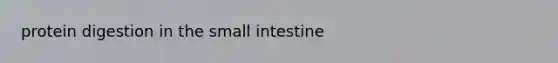 protein digestion in <a href='https://www.questionai.com/knowledge/kt623fh5xn-the-small-intestine' class='anchor-knowledge'>the small intestine</a>