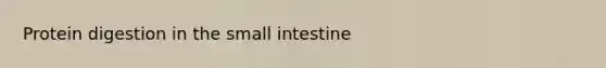 Protein digestion in <a href='https://www.questionai.com/knowledge/kt623fh5xn-the-small-intestine' class='anchor-knowledge'>the small intestine</a>