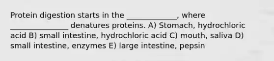 Protein digestion starts in the _____________, where _______________ denatures proteins. A) Stomach, hydrochloric acid B) small intestine, hydrochloric acid C) mouth, saliva D) small intestine, enzymes E) large intestine, pepsin