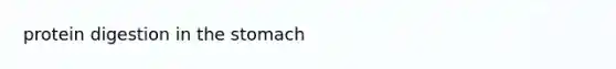 protein digestion in <a href='https://www.questionai.com/knowledge/kLccSGjkt8-the-stomach' class='anchor-knowledge'>the stomach</a>