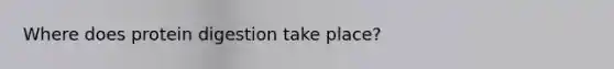 Where does protein digestion take place?