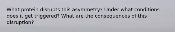 What protein disrupts this asymmetry? Under what conditions does it get triggered? What are the consequences of this disruption?