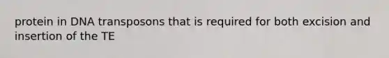protein in DNA transposons that is required for both excision and insertion of the TE