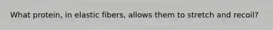 What protein, in elastic fibers, allows them to stretch and recoil?