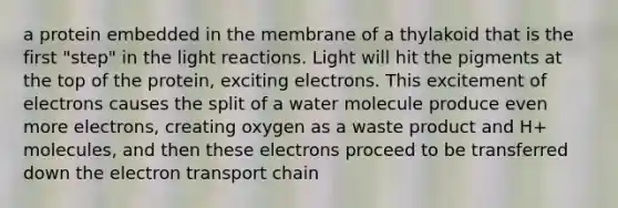 a protein embedded in the membrane of a thylakoid that is the first "step" in the light reactions. Light will hit the pigments at the top of the protein, exciting electrons. This excitement of electrons causes the split of a water molecule produce even more electrons, creating oxygen as a waste product and H+ molecules, and then these electrons proceed to be transferred down the electron transport chain