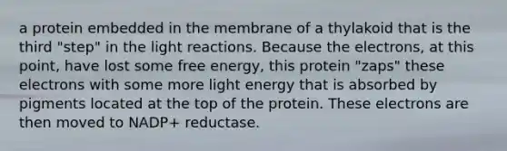 a protein embedded in the membrane of a thylakoid that is the third "step" in the light reactions. Because the electrons, at this point, have lost some free energy, this protein "zaps" these electrons with some more light energy that is absorbed by pigments located at the top of the protein. These electrons are then moved to NADP+ reductase.