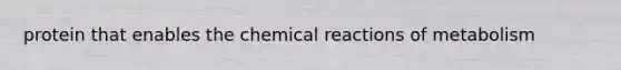 protein that enables the chemical reactions of metabolism