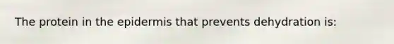 The protein in the epidermis that prevents dehydration is: