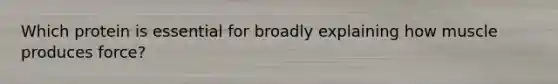 Which protein is essential for broadly explaining how muscle produces force?