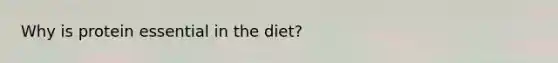 Why is protein essential in the diet?