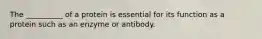 The __________ of a protein is essential for its function as a protein such as an enzyme or antibody.