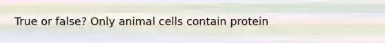 True or false? Only animal cells contain protein