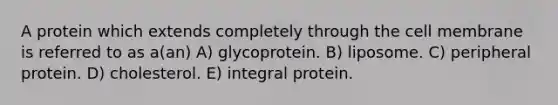 A protein which extends completely through the cell membrane is referred to as a(an) A) glycoprotein. B) liposome. C) peripheral protein. D) cholesterol. E) integral protein.