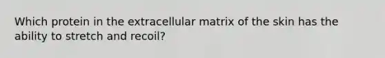 Which protein in the extracellular matrix of the skin has the ability to stretch and recoil?