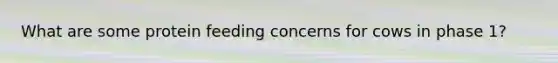 What are some protein feeding concerns for cows in phase 1?