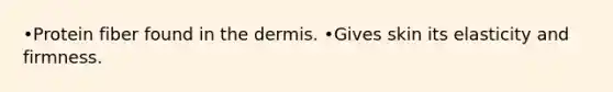 •Protein fiber found in the dermis. •Gives skin its elasticity and firmness.