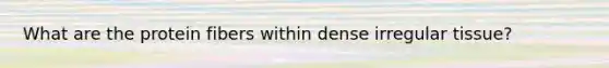 What are the protein fibers within dense irregular tissue?