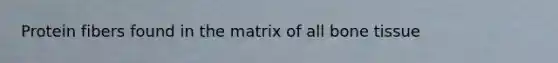 Protein fibers found in the matrix of all bone tissue