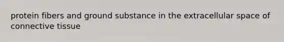 protein fibers and ground substance in the extracellular space of <a href='https://www.questionai.com/knowledge/kYDr0DHyc8-connective-tissue' class='anchor-knowledge'>connective tissue</a>