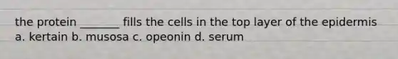 the protein _______ fills the cells in the top layer of the epidermis a. kertain b. musosa c. opeonin d. serum