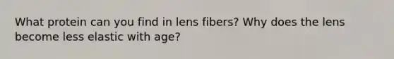 What protein can you find in lens fibers? Why does the lens become less elastic with age?