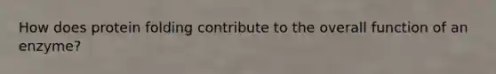 How does protein folding contribute to the overall function of an enzyme?