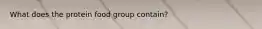 What does the protein food group contain?
