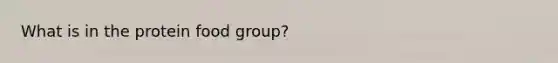 What is in the protein food group?