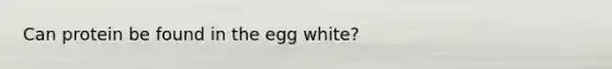 Can protein be found in the egg white?