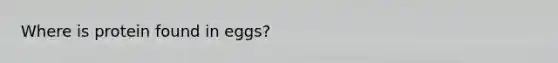 Where is protein found in eggs?