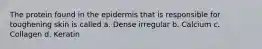The protein found in the epidermis that is responsible for toughening skin is called a. Dense irregular b. Calcium c. Collagen d. Keratin