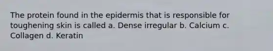 The protein found in the epidermis that is responsible for toughening skin is called a. Dense irregular b. Calcium c. Collagen d. Keratin