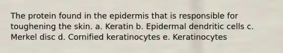 The protein found in the epidermis that is responsible for toughening the skin. a. Keratin b. Epidermal dendritic cells c. Merkel disc d. Cornified keratinocytes e. Keratinocytes