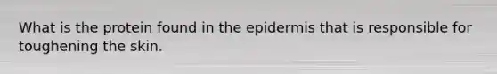 What is the protein found in the epidermis that is responsible for toughening the skin.