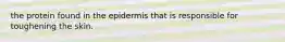 the protein found in the epidermis that is responsible for toughening the skin.