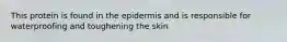 This protein is found in the epidermis and is responsible for waterproofing and toughening the skin