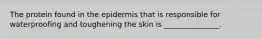 The protein found in the epidermis that is responsible for waterproofing and toughening the skin is _______________.