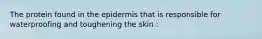 The protein found in the epidermis that is responsible for waterproofing and toughening the skin :