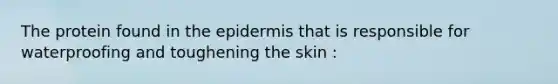 The protein found in the epidermis that is responsible for waterproofing and toughening the skin :