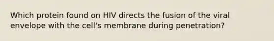 Which protein found on HIV directs the fusion of the viral envelope with the cell's membrane during penetration?