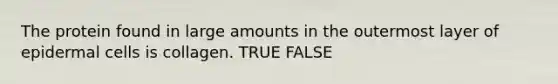 The protein found in large amounts in the outermost layer of epidermal cells is collagen. TRUE FALSE