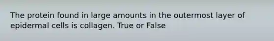 The protein found in large amounts in the outermost layer of epidermal cells is collagen. True or False