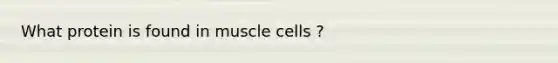 What protein is found in muscle cells ?