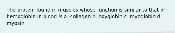 The protein found in muscles whose function is similar to that of hemoglobin in blood is a. collagen b. oxyglobin c. myoglobin d. myosin