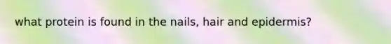 what protein is found in the nails, hair and epidermis?